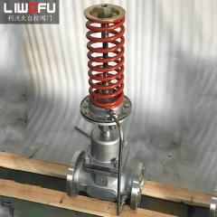 自力式壓力調節閥：科技引領，壓力控制新篇章